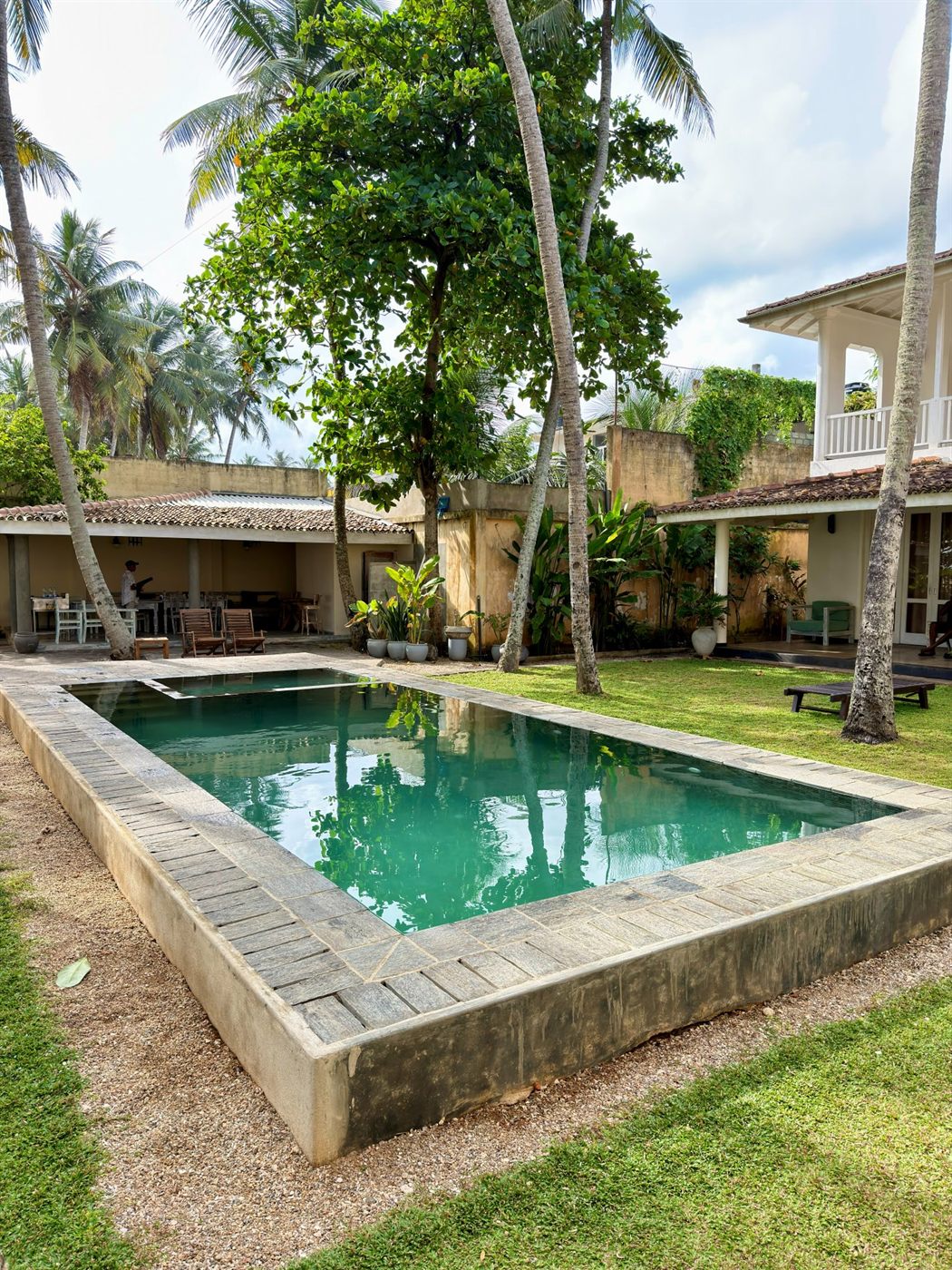 The raised pool in the garden, shaded by an old tree