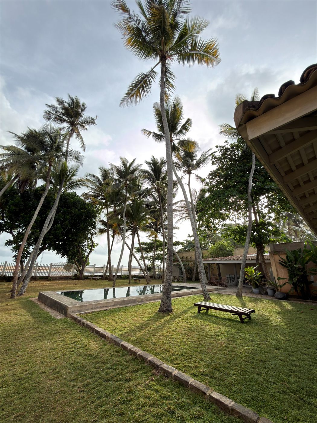 A garden bench among the coconut palms, looking past the pool to the sea